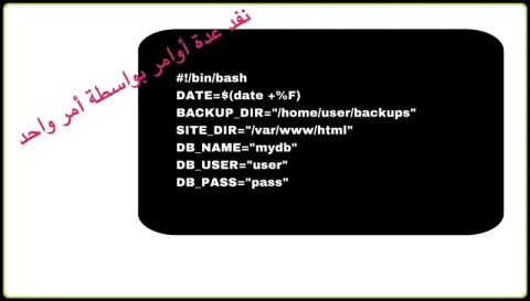 bash script
